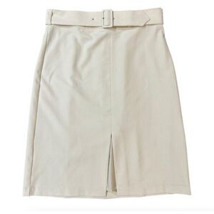 Banana Republic Skirt